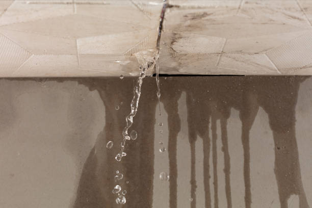 Professional Water Damage Repair technician working in Glidden, TX